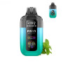 Menthe Kit 10 000 - 10 saveurs au choix - Fisco Point