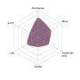 Fruits de Bois 50 ml - Vincent (VDLV)
