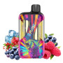 Blueberry Pomegranate Ice + Blueberry Sour Raspberry Puff rechargeable Zpluse 42K - Zpluse by JNR
