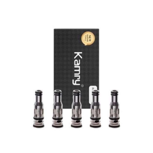 Résistance P6 (pack de 5) - Kamry