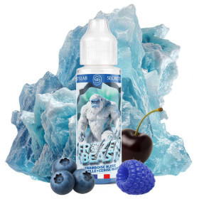 Framboise Bleue Myrtille Cerise Noire 100ml Frozen Beast - Secret's LAb