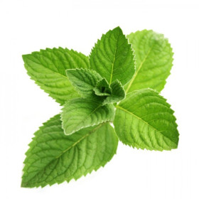 Additif DIY Menthol Crystal 10 ml