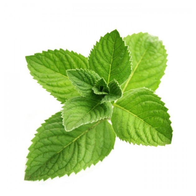 Additif DIY Menthol Crystal 10 ml