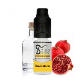 Brainstorm arôme concentré - Solubarome