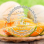 Melon arôme naturel (DLUO Dépassée) - VDLV