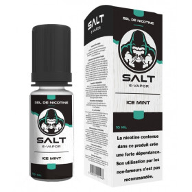 Ice Mint (DLUO Dépassée ) - Salt E-Vapor